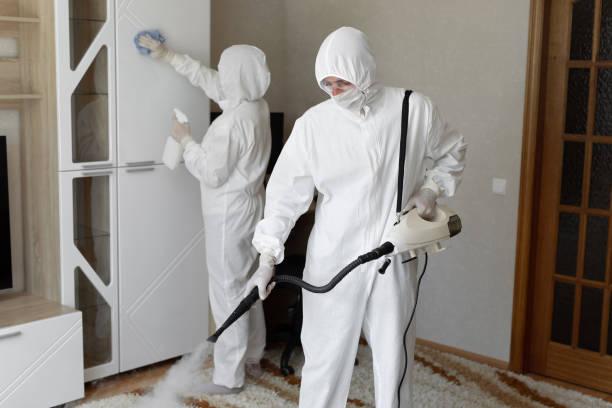 Mold Removal and Inspection in Ocean City, MD